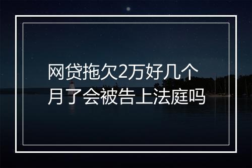 网贷拖欠2万好几个月了会被告上法庭吗