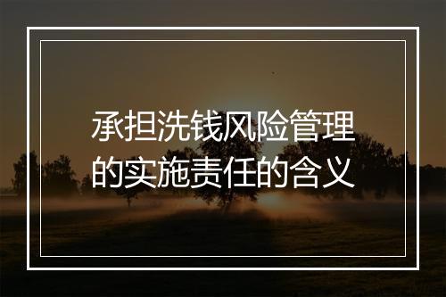 承担洗钱风险管理的实施责任的含义