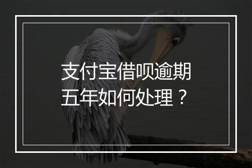支付宝借呗逾期五年如何处理？