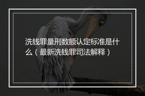 洗钱罪量刑数额认定标准是什么（最新洗钱罪司法解释）