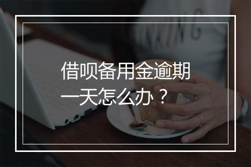 借呗备用金逾期一天怎么办？