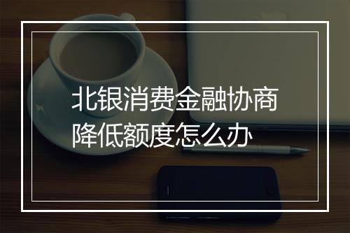 北银消费金融协商降低额度怎么办