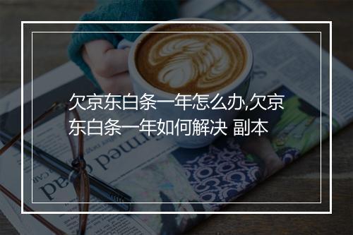 欠京东白条一年怎么办,欠京东白条一年如何解决 副本