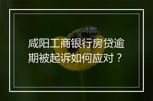 咸阳工商银行房贷逾期被起诉如何应对？