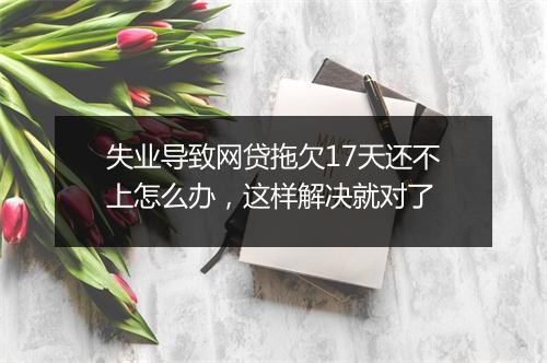 失业导致网贷拖欠17天还不上怎么办，这样解决就对了
