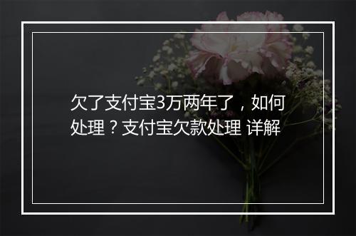 欠了支付宝3万两年了，如何处理？支付宝欠款处理 详解