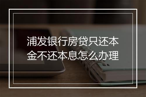 浦发银行房贷只还本金不还本息怎么办理