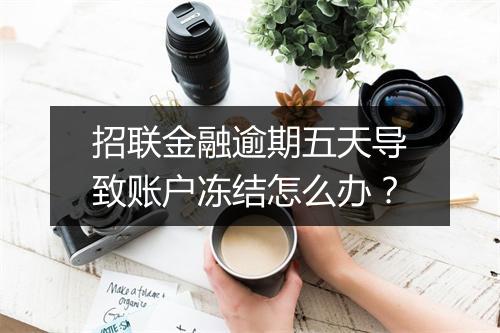 招联金融逾期五天导致账户冻结怎么办？