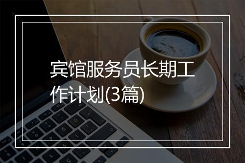 宾馆服务员长期工作计划(3篇)