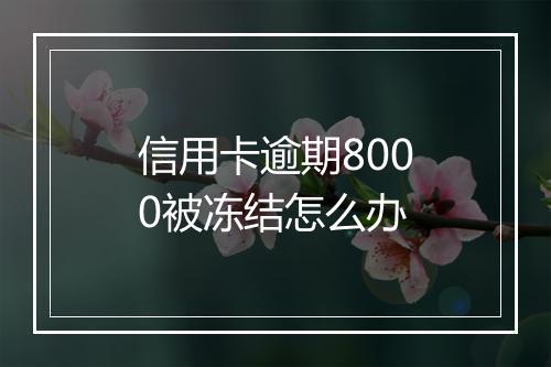 信用卡逾期8000被冻结怎么办