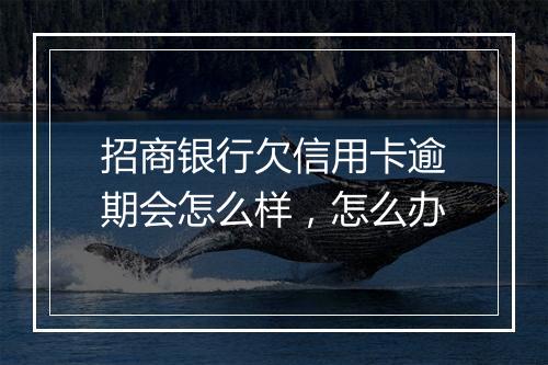 招商银行欠信用卡逾期会怎么样，怎么办