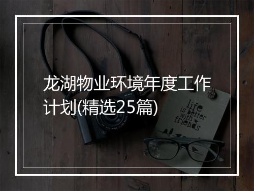龙湖物业环境年度工作计划(精选25篇)