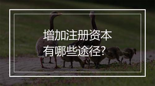 增加注册资本有哪些途径?