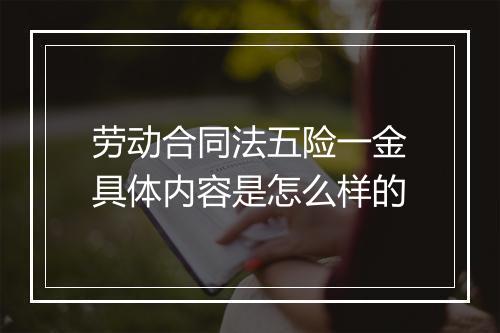 劳动合同法五险一金具体内容是怎么样的