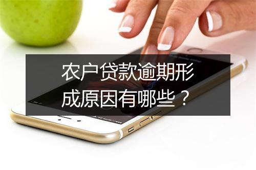 农户贷款逾期形成原因有哪些？
