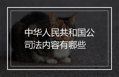中华人民共和国公司法内容有哪些