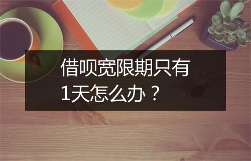 借呗宽限期只有1天怎么办？