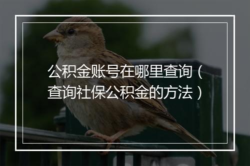 公积金账号在哪里查询（查询社保公积金的方法）