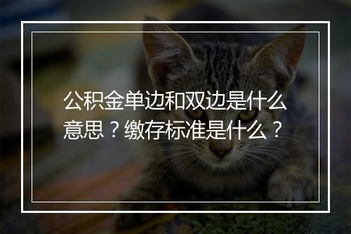 公积金单边和双边是什么意思？缴存标准是什么？