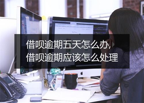 借呗逾期五天怎么办,借呗逾期应该怎么处理