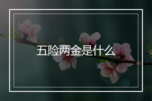 五险两金是什么