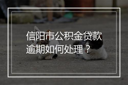信阳市公积金贷款逾期如何处理？