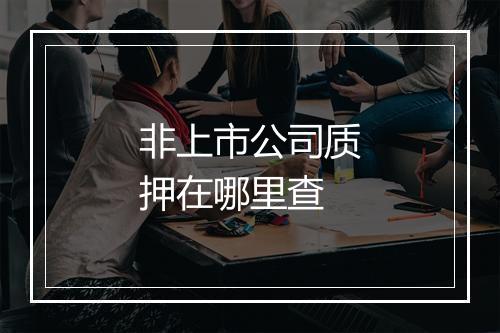 非上市公司质押在哪里查