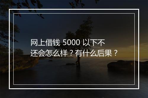 网上借钱 5000 以下不还会怎么样？有什么后果？