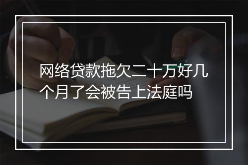 网络贷款拖欠二十万好几个月了会被告上法庭吗