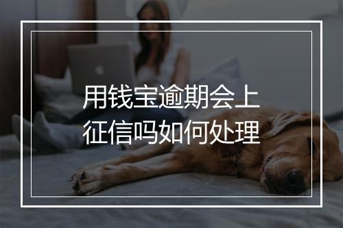 用钱宝逾期会上征信吗如何处理