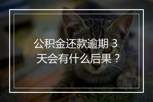 公积金还款逾期 3 天会有什么后果？