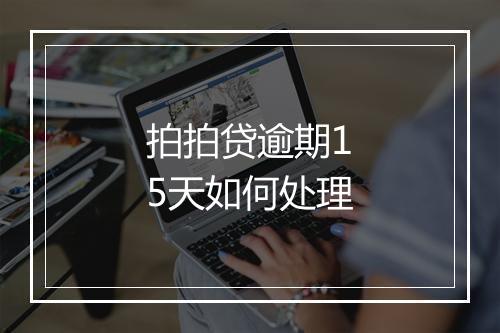 拍拍贷逾期15天如何处理