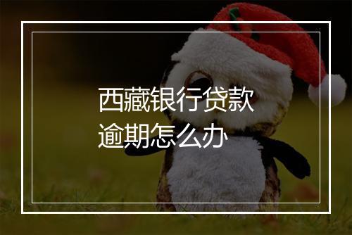 西藏银行贷款逾期怎么办