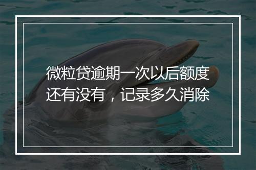 微粒贷逾期一次以后额度还有没有，记录多久消除