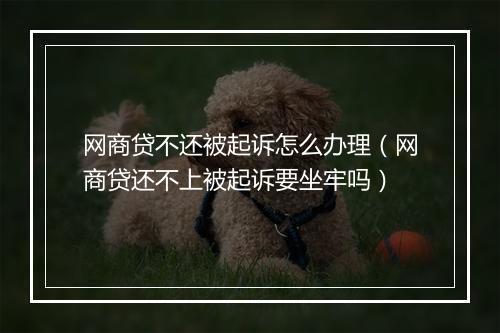 网商贷不还被起诉怎么办理（网商贷还不上被起诉要坐牢吗）