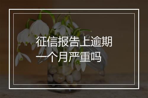 征信报告上逾期一个月严重吗