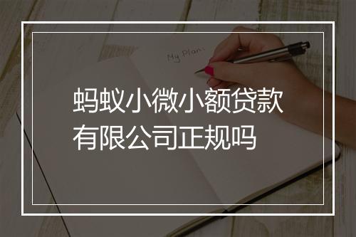 蚂蚁小微小额贷款有限公司正规吗