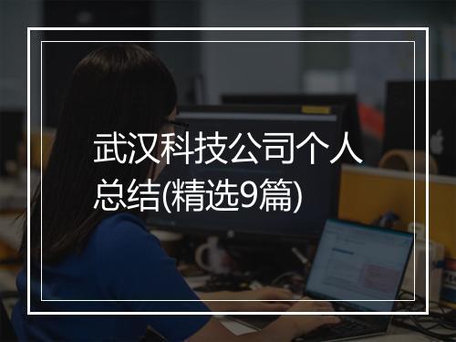武汉科技公司个人总结(精选9篇)