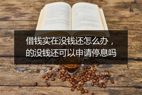借钱实在没钱还怎么办，的没钱还可以申请停息吗