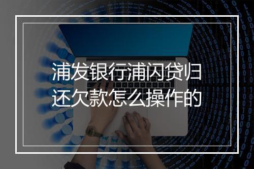 浦发银行浦闪贷归还欠款怎么操作的