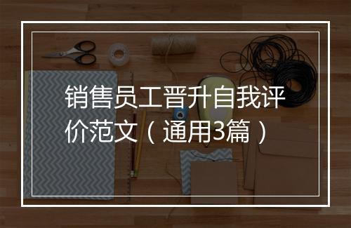 销售员工晋升自我评价范文（通用3篇）