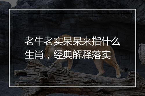 老牛老实呆呆来指什么生肖，经典解释落实