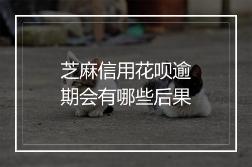 芝麻信用花呗逾期会有哪些后果