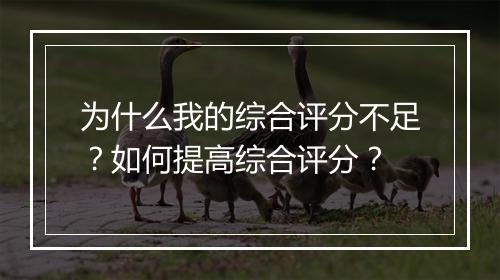 为什么我的综合评分不足？如何提高综合评分？