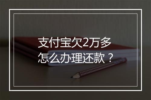 支付宝欠2万多怎么办理还款？