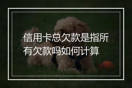 信用卡总欠款是指所有欠款吗如何计算