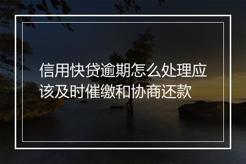 信用快贷逾期怎么处理应该及时催缴和协商还款
