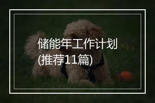 储能年工作计划(推荐11篇)