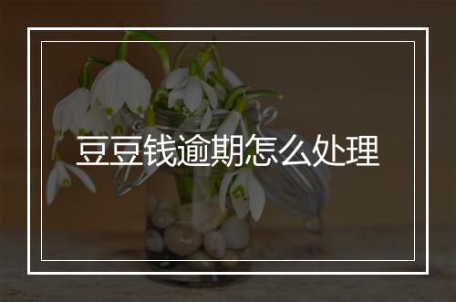 豆豆钱逾期怎么处理
