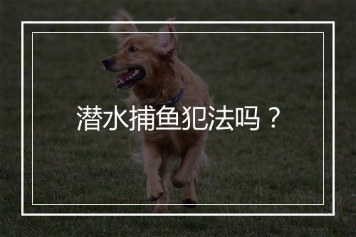 潜水捕鱼犯法吗？